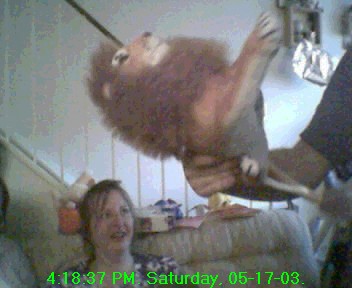 Lion from ??
